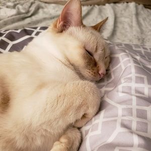 Meet your Posher, Jan